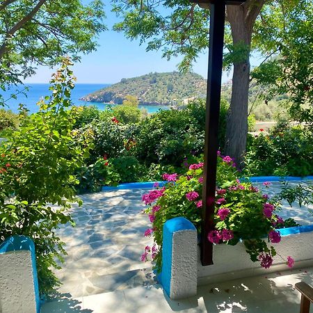 Studios Ioanna Limnionas Samos Marathókampos Exteriör bild