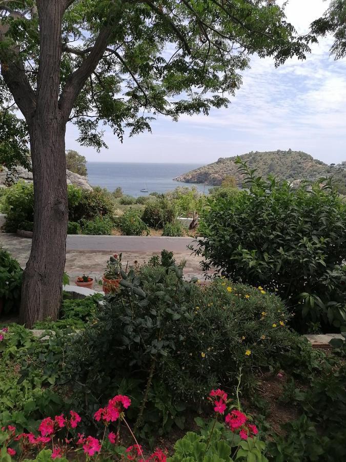 Studios Ioanna Limnionas Samos Marathókampos Exteriör bild