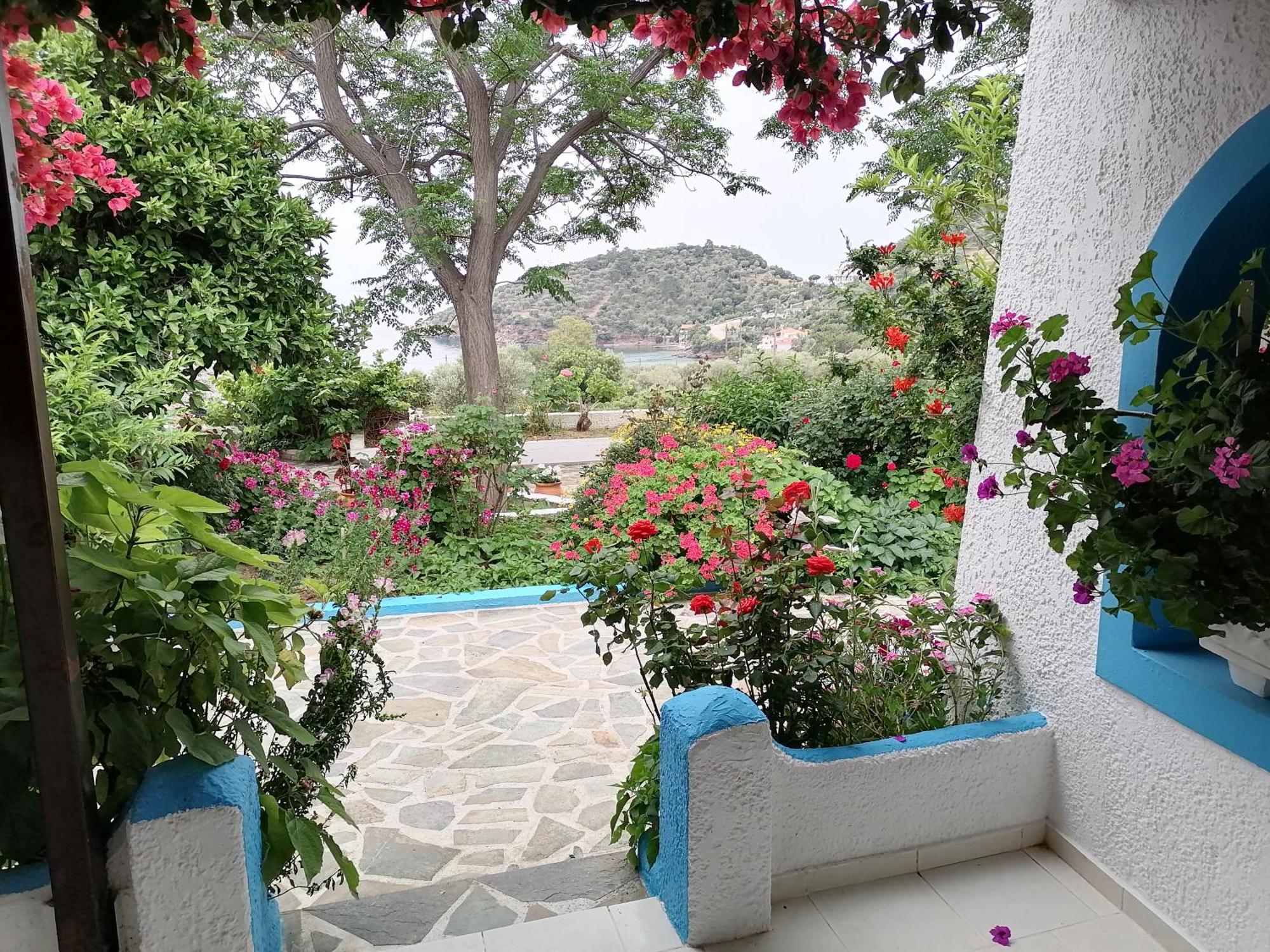 Studios Ioanna Limnionas Samos Marathókampos Exteriör bild